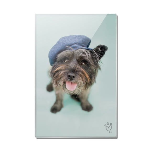 Terrier Puppy Dog Nice Cap Hat Rectangle Acrylic Fridge Refrigerator Magnet