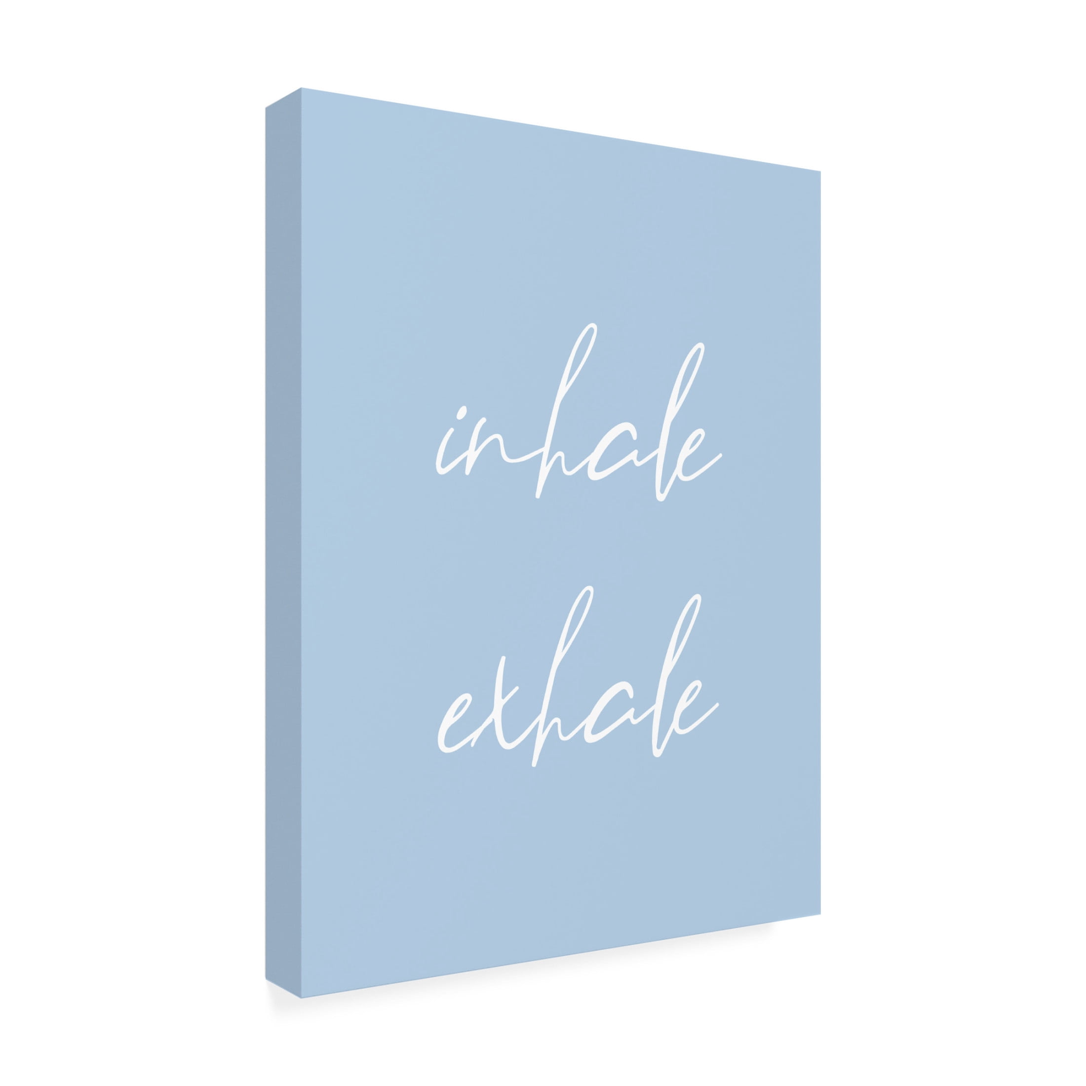 Trademark Fine Art Beth Cai  Inhale Exhale No3 Canvas Wall Art