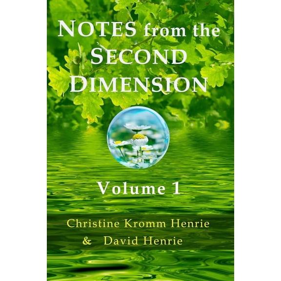 Notes from the Second Dimension: Volume 1, (Paperback)