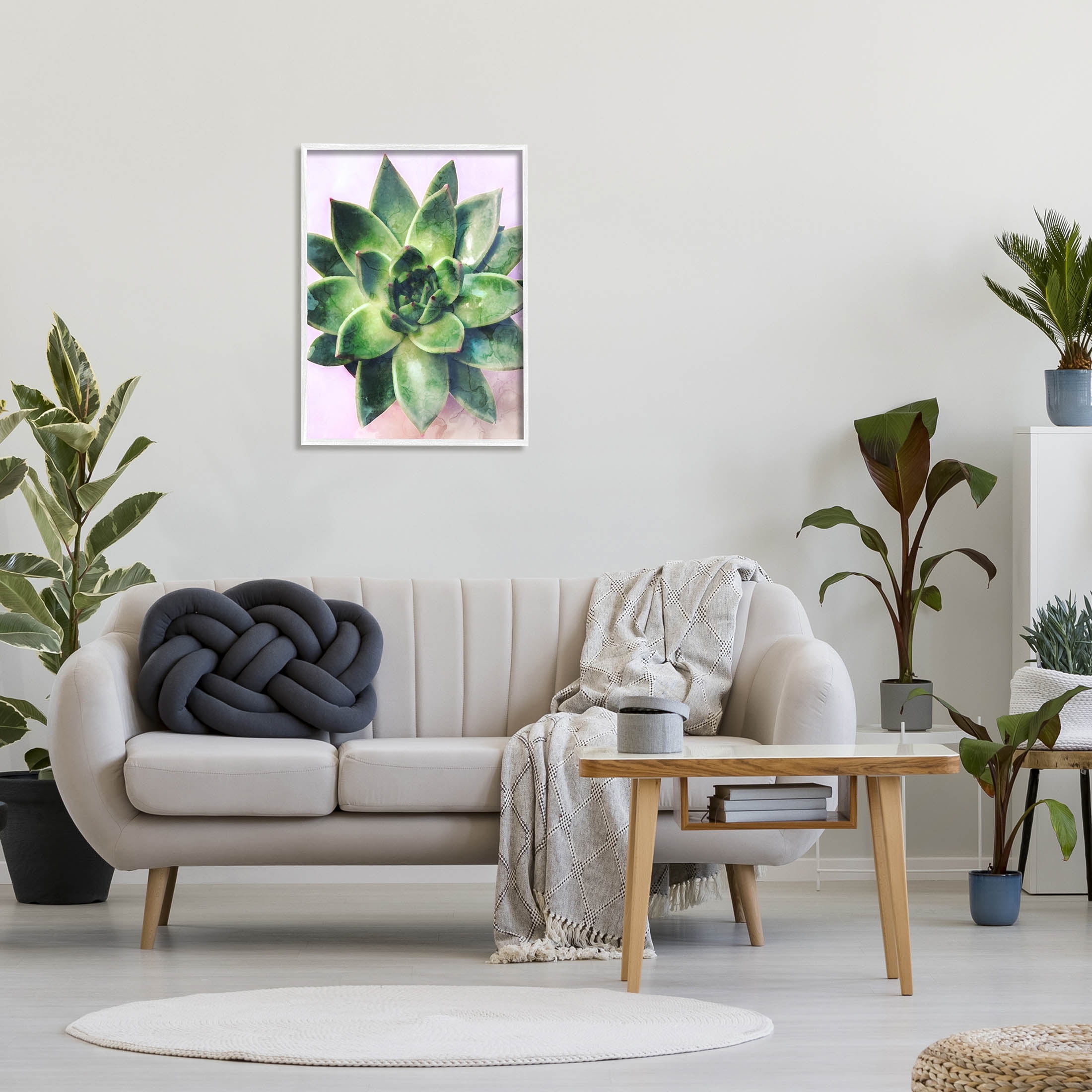 Round Succulent Plant Leaves Botanical & Floral Graphic Art White Framed Art Print Wall Art