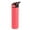 Bright Pink, variant on TAL Stainless Steel Ranger Water Bottle 26oz, Black