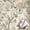Colourful4, variant on Vintage Rustic Farmhouse Peony Floral Bird Wallpaper Waterproof Peel and Stick Wallpaper for Home Decor, Removable Wall Paper for Living Room Bedroom Bathroom Kitchen Cabinet Drawer 17.7 * 118 in