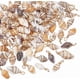 thumbnail image 1 of Colgante de concha de cauri natural, colgante grande con aro, abalorio de mar oceánico de verano para hacer joyas, pulseras, pendientes y accesorios., 1 of 9