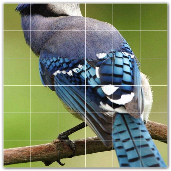 Picture-Tiles.com: Bird Ceramic Tile Wall Mural WAL500196-66M. 36"W x 36"H using (36) 6" x 6" Ceramic Tiles-Satin Finish
