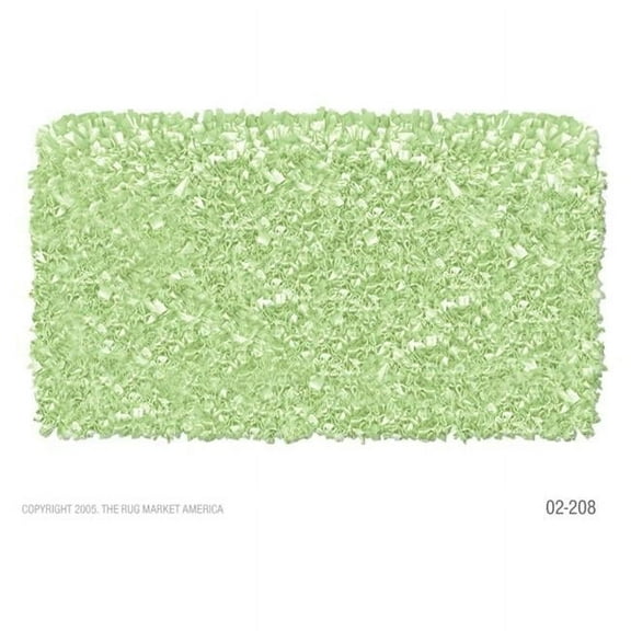 The Rug Market 02208D 4-SHAGGY RAGGY SAGE SAGE GREEN 4.7X7.7