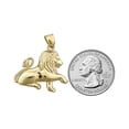 thumbnail image 3 of 14K Gold 30MM Lion Pendant, 3 of 5