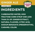 thumbnail image 4 of Canada Dry Ginger Ale Soda Drink, 20 Fl Ounce Bottle Variety Pack (Pack of 5) Packaging May Vary, 4 of 5