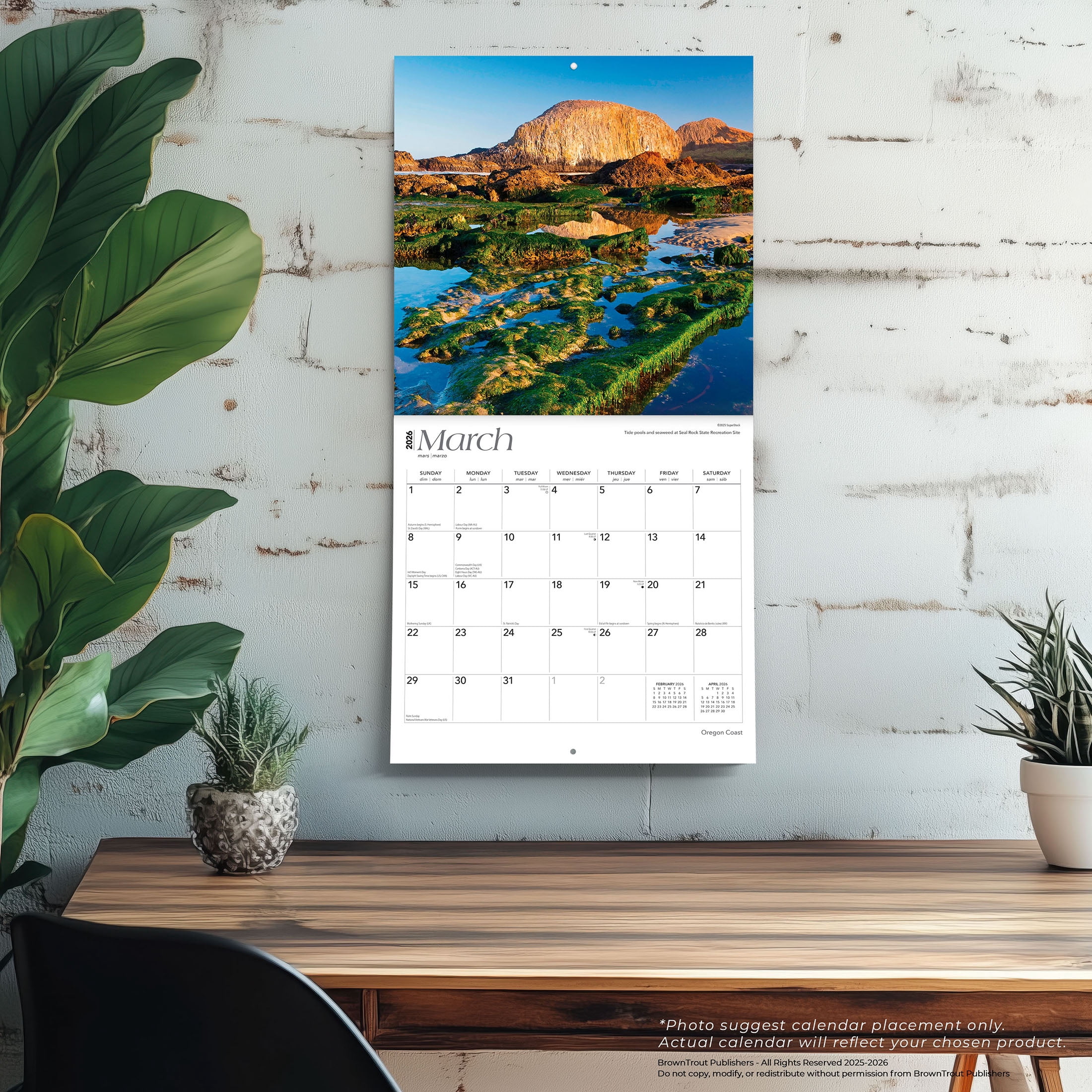 Oregon Coast | 2026 12x24" (Hanging) Wall Calendar | Plastic-Free | BrownTrout