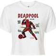 thumbnail image 3 of Marvel Deadpool - Blueprint - Juniors Cropped Graphic T-Shirt, 3 of 5