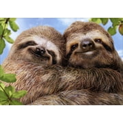Avanti Press Sloth Couple Funny / Humorous Valentine's Day Card