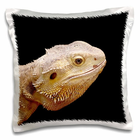 3dRose Central Bearded Dragon lizard portrait - Pillow Case, 16 by