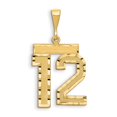 thumbnail image 3 of 14k Yellow Gold Large Diamond-cut Number 12 Charm Pendant, 3 of 3