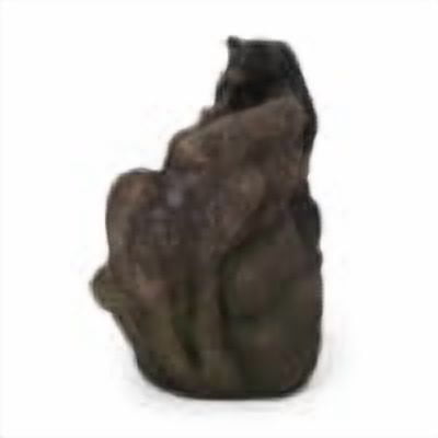 Coowa 22 Inch Outdoor Water Fountain with LED Lights, Faux Stone Bears on Log Two Tier Waterfall Design, Weather Resistant in Light Brown and Black, for Garden and Patio