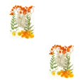 thumbnail image 3 of Juego de plantas secas Injueey Naranja 2Conjunto, 3 of 6