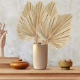 thumbnail image 5 of 4Pcs Dried Palm Leaves Dried Palm Fans Bohemian Dried Palm Spears Artificial Plants Palm Leaves Trop, 5 of 5