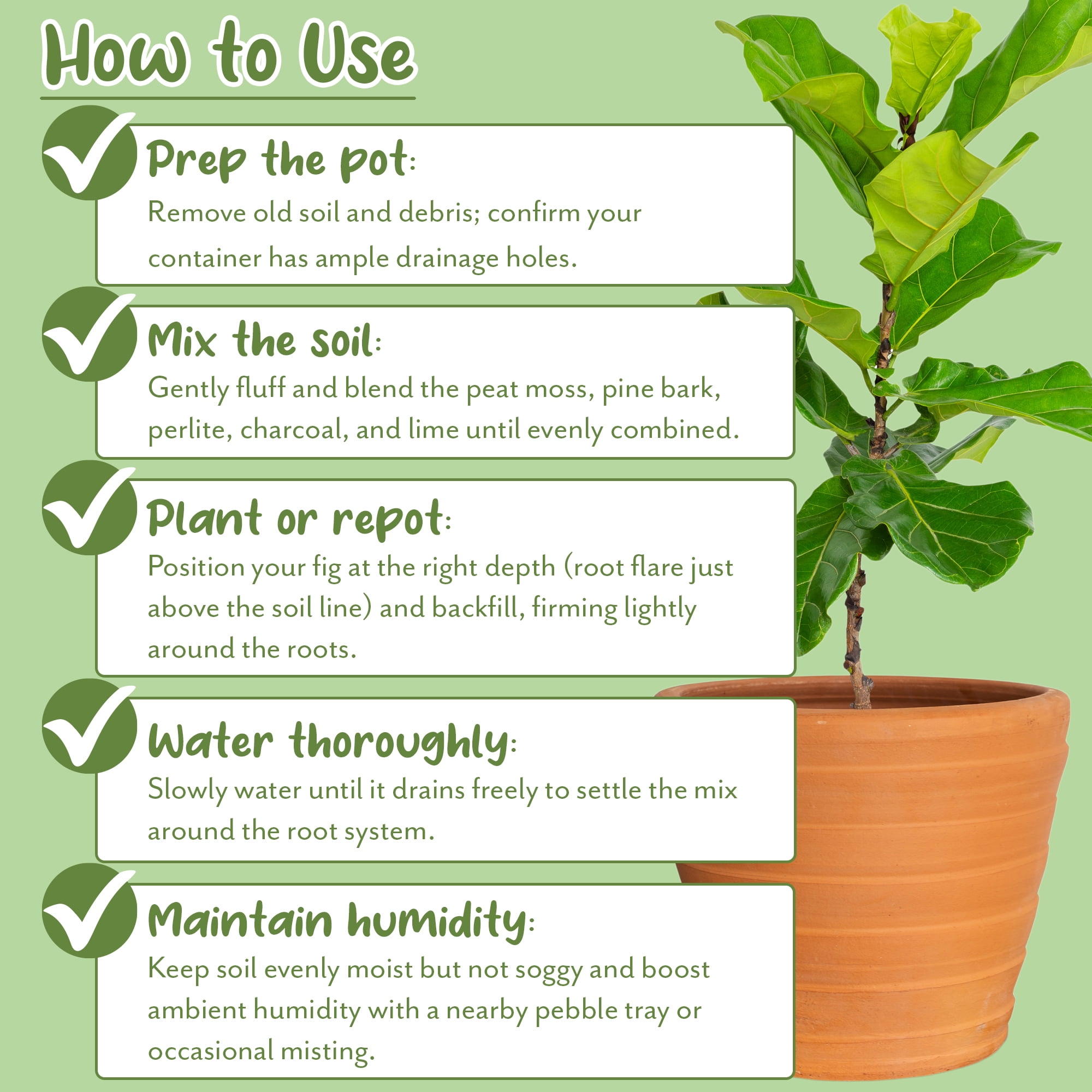 Premium Fiddle Leaf Fig Tree Soil (12 Quarts) - Expert Formula for Vibrant Growth - Nutrient-Rich Potting Mix, Specifically Designed for Healthy Indoor, Outdoor, and Potted Fiddle Fig Plants