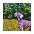 thumbnail image 1 of Weimaraner in Sunshine - Canvas, 1 of 10
