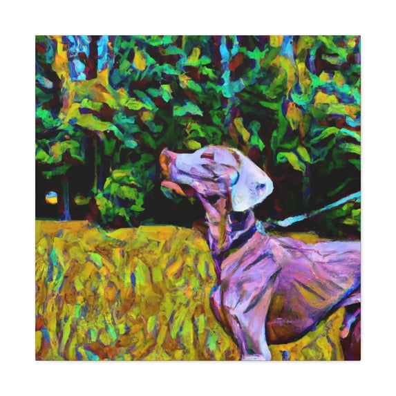 Weimaraner in Sunshine - Canvas