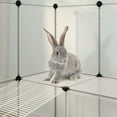 thumbnail image 5 of vidaXL Cage pour Petits Animaux Transparente 142x74x93 cm PP et Acier, 5 of 5