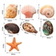thumbnail image 5 of Almohada de peluche Hesroicy Sea Life, linda concha de ostra, mejillón, caracol, abulón, muñeco de peluche, adorno para sofá, muñeco de peluche de algodón PP, almohada de peluche para dormir para, 5 of 7