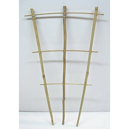 Wooden Trellis - Natural Color Bamboo Trellis 18 inches Tall (Quantity1)