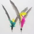 thumbnail image 2 of Pet Cat Interactive Exercise Toy for Solving Boredom Tease Cat Wand Toy with Colorful Feather Head, 2 of 7