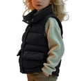 thumbnail image 2 of LIaqionyy Kids Puffer Vest Winter Zip up Warm Coat Lightweight Sleeveless Jacket Outwear for Boys Girls, 2 of 4