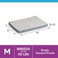 thumbnail image 3 of Vibrant Life Orthopedic Foam Dog Bed, Gray, Medium 29" x 20", 3 of 7