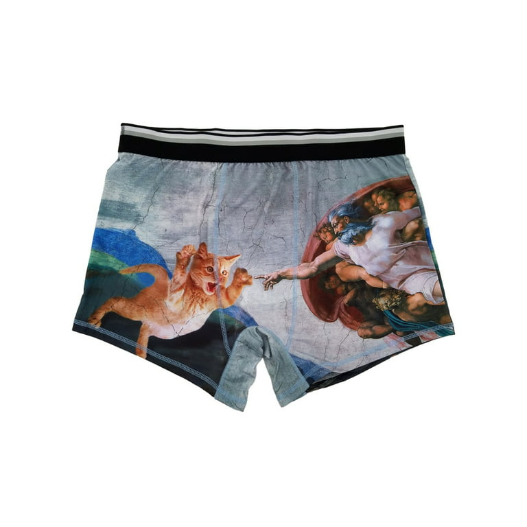 Mens The Creation Of Adam Kitten God Parody Underwear Boxer Briefs XXL