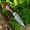 Black-TR-962, variant on Poshland Custom Handmade Knife – Damascus Steel, Wooden Handle