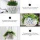 thumbnail image 4 of Maceta colgante para flores, para interior y exterior, para balcón, patio, cesta colgante, 4 of 8