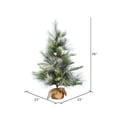 thumbnail image 2 of Vickerman 36" Frosted Myers Pine Artificial Christmas Tree, Unlit, 2 of 3