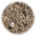 thumbnail image 5 of Premium Natural Spanish Moss | Natural Preserved - Great Ground Cover - Filler for Potted Plants - by Gardenera Labs - 3 Quart Bag, 5 of 7