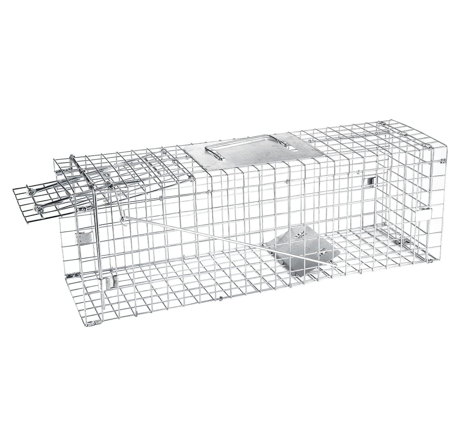 Meibangzz Animal Traps,Live Animal Trap for Cats,Rabbits, Squirrels,cat  Trap for Stray Cats, Live Traps for Raccoons, Stainless Steel Foldable with
