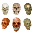thumbnail image 4 of Bewildely Modelo de resina de cráneo humano tamaño real 1:1 esqueleto realista anatómico marrón 1 Decoración del hogar Calavera amarilla, 4 of 6