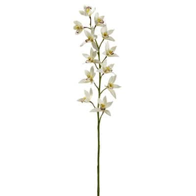 8 Pack: Cream Boat Orchid Stem by Ashland
