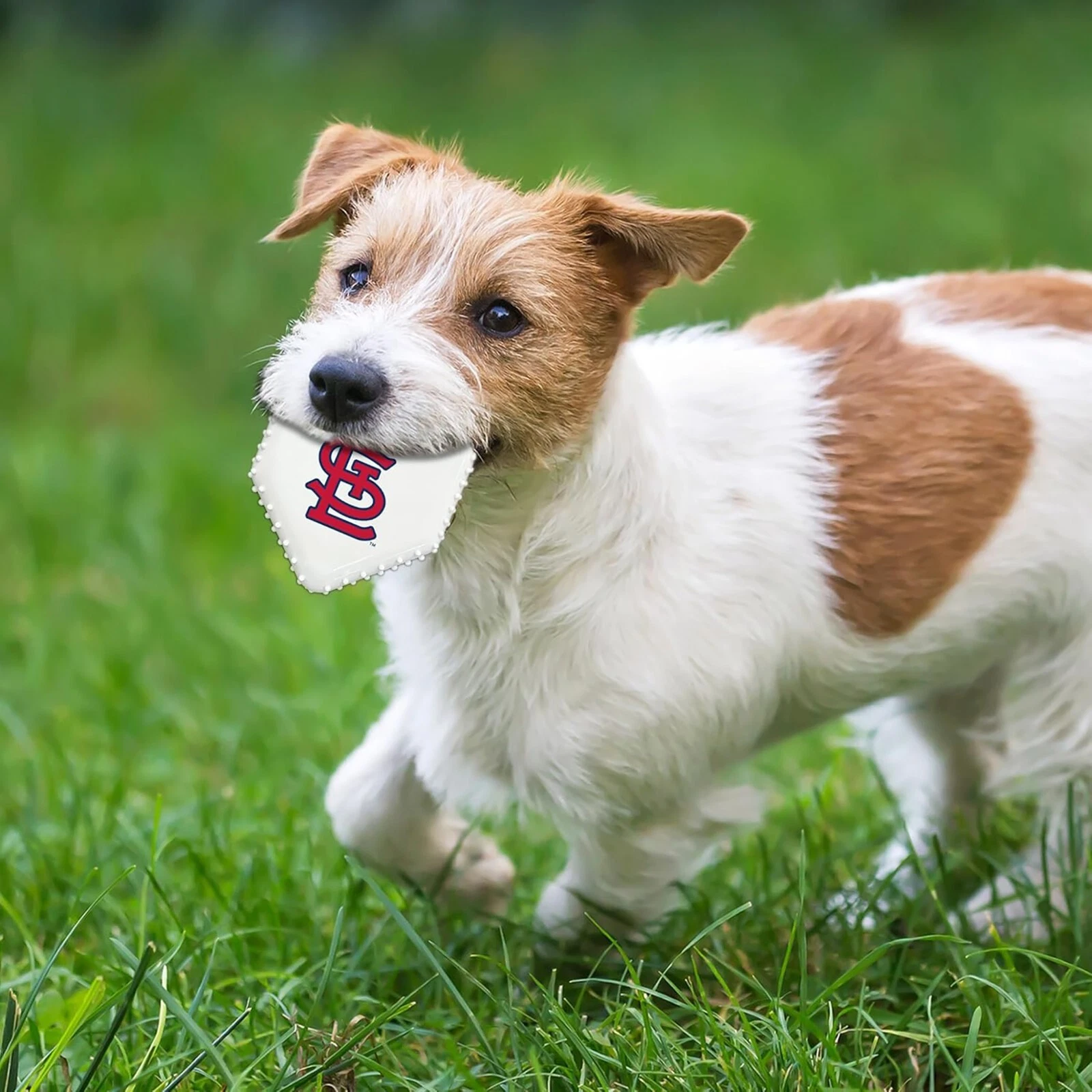 Pets First MLB Baseball Home Plate Dog Chew Toys for Aggressive Chewers