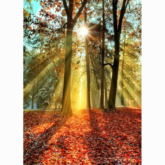 SHENGYONGBAO Sandy Beach Holiday Summer Photography Backdrop Prop Coconut Tree Landscape Window Photo Studio Background HF-21