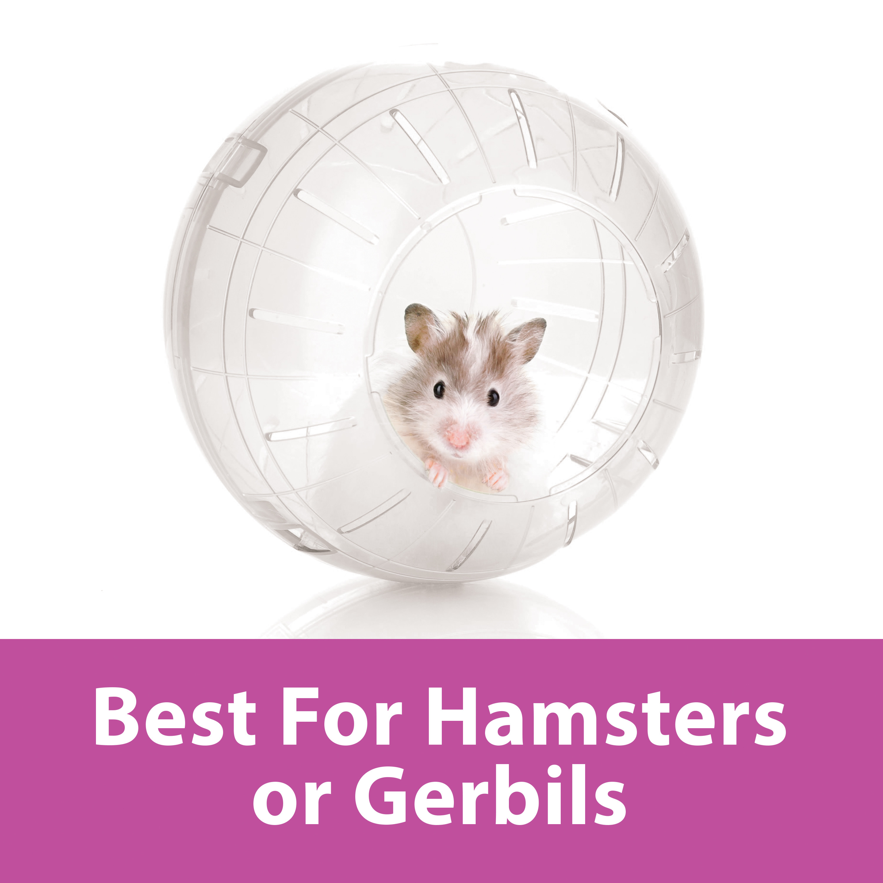 Kaytee Run-About Ball for Hamsters, Gerbils and Other Small Animals, Clear 7 Inches - image 5 of 11