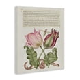thumbnail image 3 of Stupell Industries French Country Tulips & Insects Antique Canvas Art, 16 x 20, by Melissa Wang, 3 of 8