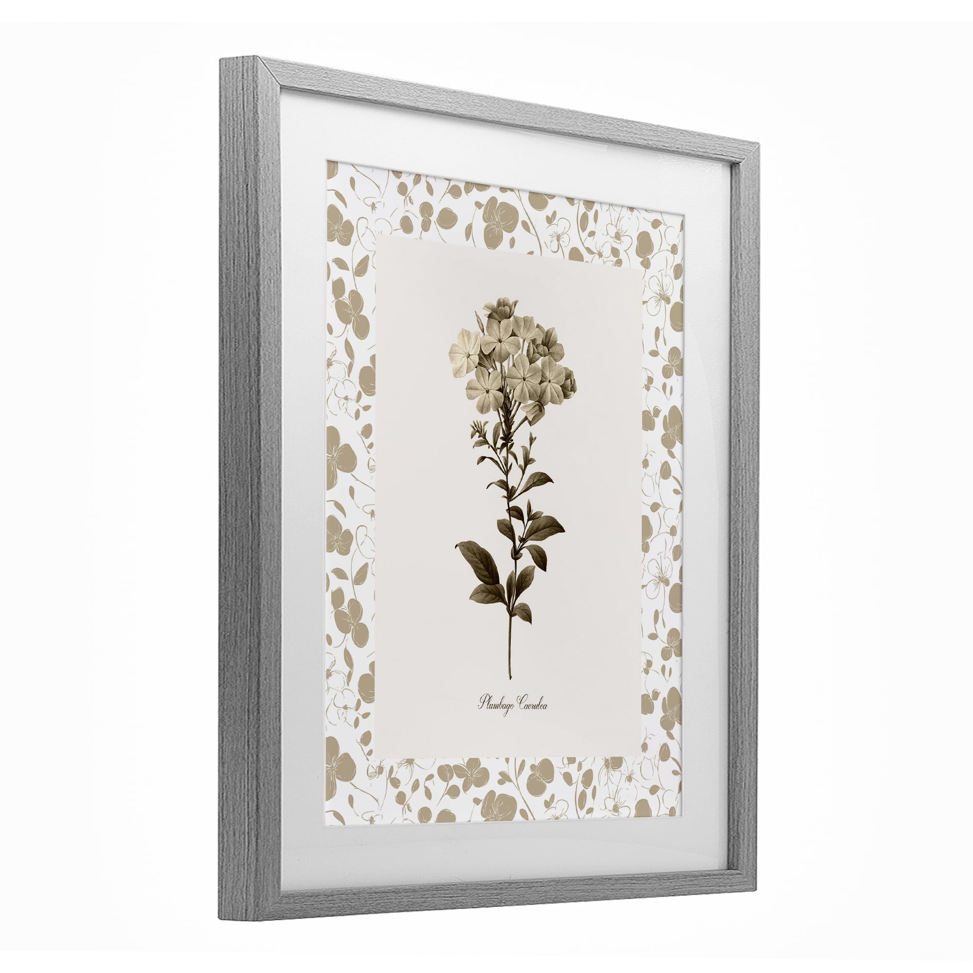 Stupell Industries Neutral Imperial Botanical Gray Framed Print Under Glass, design by Kelly Donovan