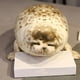 thumbnail image 5 of Muñeco de peluche con forma de león marino, decoración para habitación de juguetes, almohada, muñeco de león marino de felpa, 5 of 8
