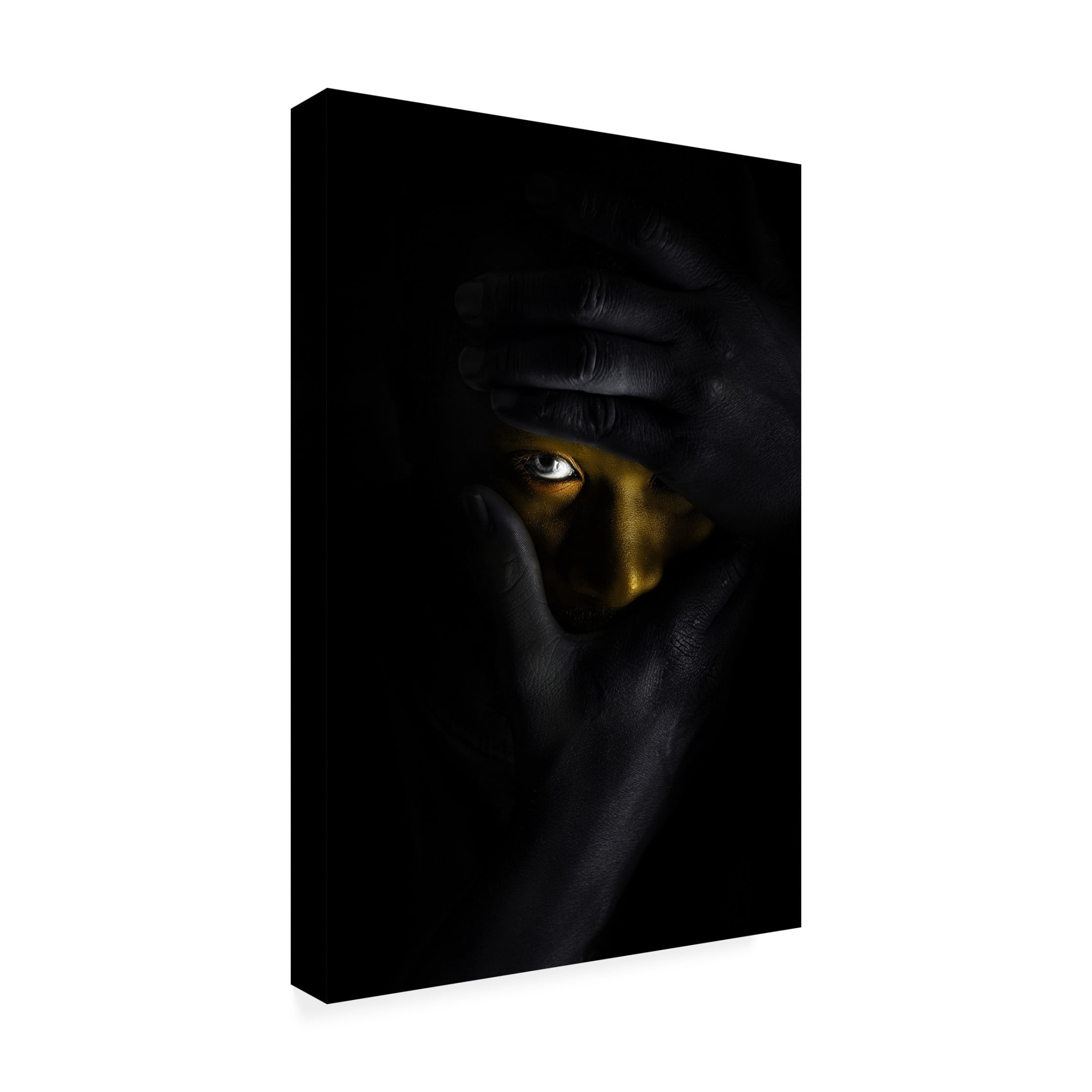 Canvas Wall Art - Domenico Petrocca 'The Silence' Wall Art for Living Room, Bedroom, or Office Décor by Trademark Fine Art - 30 x 47 Inches