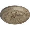 thumbnail image 3 of Ekena Millwork 7 7/8"OD x 1 1/8"P Olivia Ceiling Medallion (Fits Canopies up to 2 1/8"), Hand-Painted Gobi Desert Crackle, 3 of 7