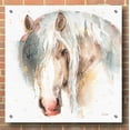thumbnail image 3 of Epic Art 'Farm Friends VI' by Lisa Audit, Acrylic Glass Wall Art, 36"x36", 3 of 7