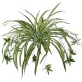 thumbnail image 1 of Paquete de 2 flores artificiales Plantas de araña Planta de seda falsa Plantas artificiales de vegetación artificial para la pared del hogar Interior exterior (no incluye cesta colgante) kaili Sencillez, 1 of 4