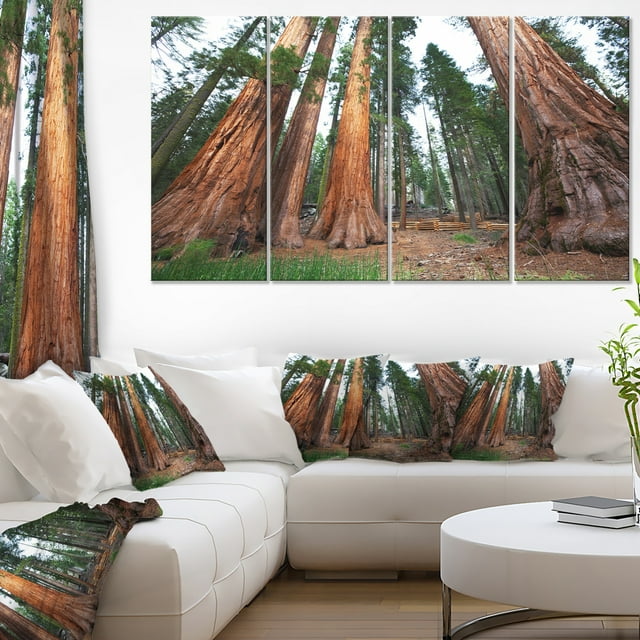 Trois Grands Arbres Séquoia - Impression sur Toile Paysage Africain