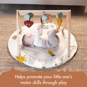 Tiny Love Luxe Developmental Gymini