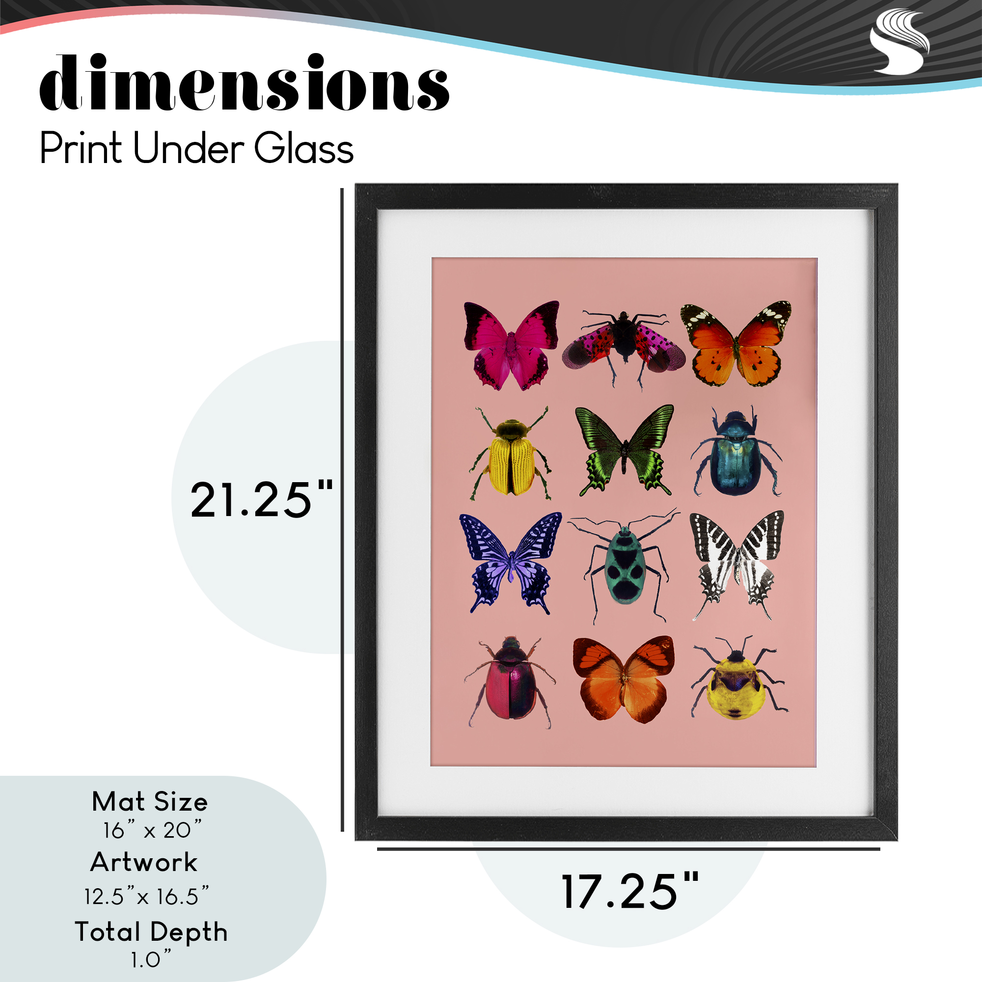 Colorful Bug Species on Pink Black Framed Print Under Glass, design by LISH Creative