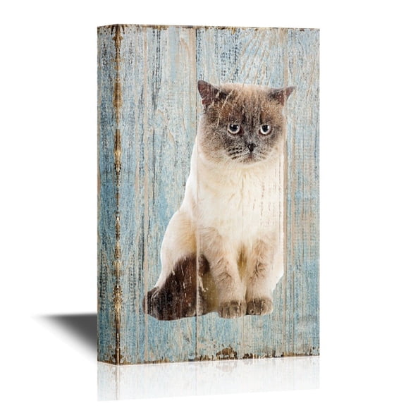 wall26 - Cats Canvas Wall Art - Cat on Wood Style Background - Gallery Wrap Modern Home Art | Ready to Hang - 32x48 inches